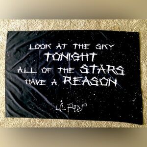 Wall Tapestry & Toss Pillow